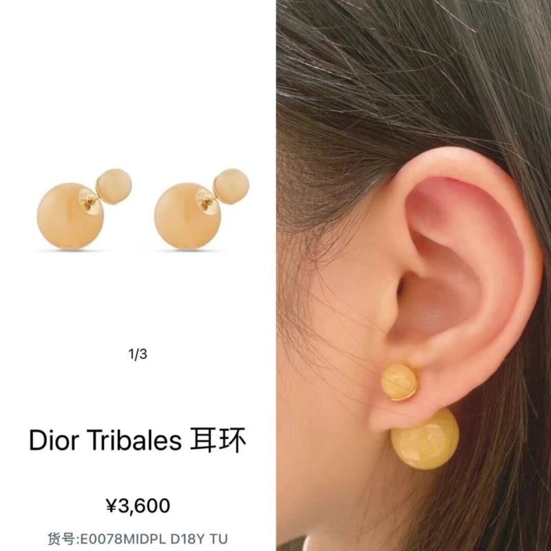 Christian Dior Earrings